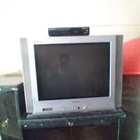 تلویزیون