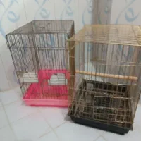 قفس پرنده