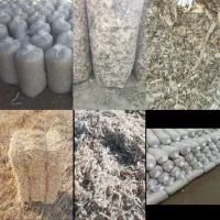 تفاله چغندر بسته بندی و علوفه ذرت|عمده‌فروشی|اهر, |دیوار