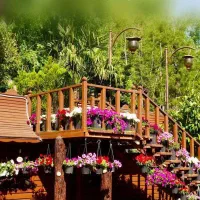 استخدام HEAD WAITERخانم درمجموعه زیبای خوشاشیراز|استخدام خدمات فروشگاه و رستوران|تهران, حشمتیه|دیوار