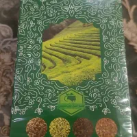 چای سبز امیر اعلم