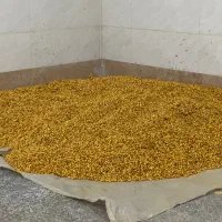 شورکاری تخمه وآجیل حرفه ای