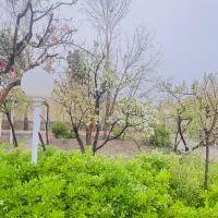 باغشهر1باغ-محله-یک1فروش-فوری