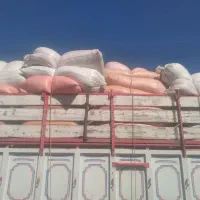 کاه گندم نرم وریز
