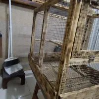 قفس پرنده ،