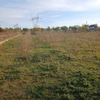 هرس وکودهی وبیل زنی.علف تراشی و آزمایش خاک|خدمات باغبانی و درختکاری|ساری, |دیوار