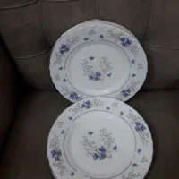 ۶دست بشقاب پلوخوری ارکوپال|ظروف سرو و پذیرایی|ری, شهادت|دیوار