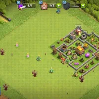 اکانت تان پنج (مخصوص کلکسیون و مهندسی)