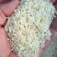 برنج طارم روشن الک کارخونه|خوردنی و آشامیدنی|چوبر, |دیوار