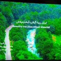 تلویزیون65 اینچ LG QNED 90|تلویزیون و پروژکتور|اندیشه, اندیشه فاز ۴|دیوار