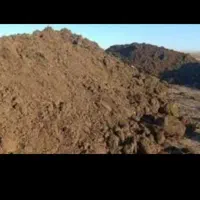 کود خالص گوسفندی  وریز و کهنه درجه یک