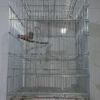 قفس طوطی و عروس|لوازم جانبی حیوانات|قلعه نو, |دیوار