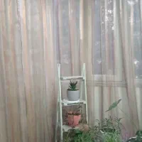 پرده حریر متراژبالا رنگ کرم نباتی|پرده، رانر، رومیزی|کرج, گوهردشت|دیوار