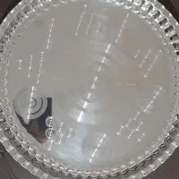 مجمع استیل سایز ۵۰ نو