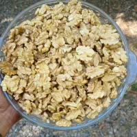 گردوی پوست سبز تازه تویسرکان پوست نازک|خوردنی و آشامیدنی|کوهسار (البرز), |دیوار