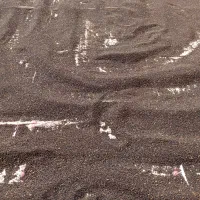 بذرکلزا هیولا50 دستی|گل و گیاه طبیعی|کلاله, |دیوار