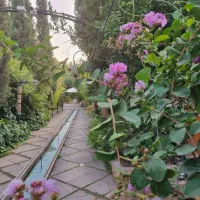 کافی من ، قلیانزن ، ظرفشوی ، شاطر تنور گلی