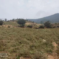 فروش زمین ۴۵۰ متری سوادکوه زیرآب پل سفید|فروش زمین و ملک کلنگی|آلاشت, |دیوار