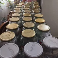 شیشه ربی