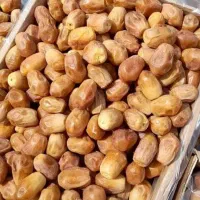 خرمای زاهدی|عمده‌فروشی|اسفرورین, |دیوار