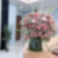 دستیار دندانپزشک