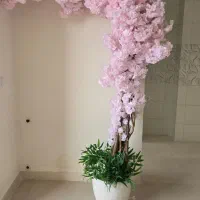 دکور گل پینترسی