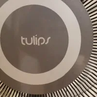 پنکه تولیپس ترکیه