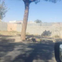 زمین تجاری مغازه حاشیه اصلی باقری|فروش زمین و ملک کلنگی|کاشمر, |دیوار