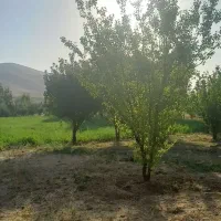 کارگر باغ همراه با جای خواب با امکانات