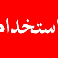 نیروی مسلط به سایت و تولید محتوا