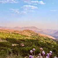 ۱۵۰ متر زمین راحت‌آباد (بام‌لواسان‌) / نقد و اقساط|فروش زمین و ملک کلنگی|لواسان, |دیوار