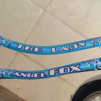 دوچرخه ۲۴ دخترانه|دوچرخه، اسکیت، اسکوتر|بیرجند, |دیوار