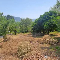 640متر نزدیک تالاب سوستان نزدیک به شهر لاهیجان|فروش زمین و ملک کلنگی|لاهیجان, کوی زمانی|دیوار
