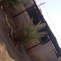 فروش گاوداری با پروانه بهره‌برداری و بهداشتی|فروش دفتر صنعتی، کشاورزی، تجاری|داراب, |دیوار