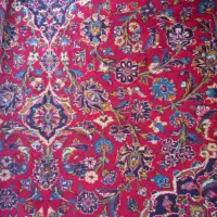 فروش یک تخته فرش اردکانی ۲/۵در ۳/۵|فرش|اصفهان, آبشار|دیوار