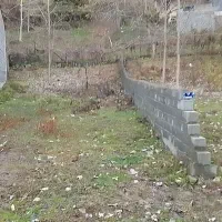 فروش قطعات زمین در بهشت ایران سوادکوه - لفور|فروش زمین و ملک کلنگی|قائم‌شهر, |دیوار