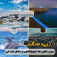 گشت جزیره قشم با تویوتا هایلوکس راننده جوان دربست