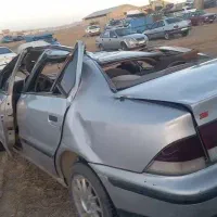 سمند تصادفی