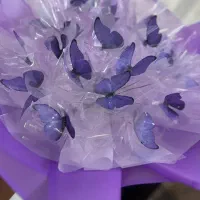 پروانه ای ۲۰شاخه