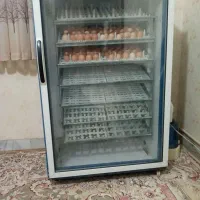 دستگاه جوجه کشی دماوند