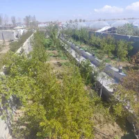 اجاره روزانه باغ ویلا در ورامین پیشوا