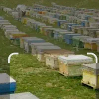 فروش عسل شهرستان خوی به صورت عمده و خرده