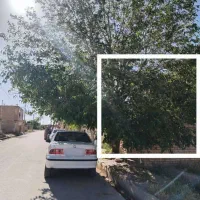 خانه ویلایی داران نهرخلج|اجارهٔ خانه و ویلا|داران, |دیوار
