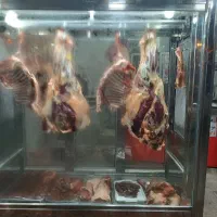 یخچال قصابی دست ساز سلام سلامت|فروشگاه و مغازه|رشت, توشیبا|دیوار