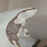 گلگیر پراید توافقی|قطعات یدکی و لوازم جانبی|رشت, جماران|دیوار