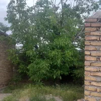 باغ-مناسب-برای-باغ-ویلا