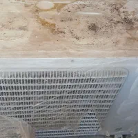 کولر ۳۰۰۰۰ گازی اینورتور گرین