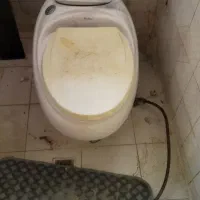 توالت فرنگی