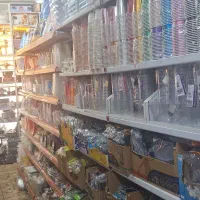 نیروی کار جهت همکاری درمغازه لوازم قنادی و تولدی|استخدام خدمات فروشگاه و رستوران|تهران, گرگان|دیوار
