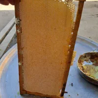 عسل ۹۹٪طبیعی